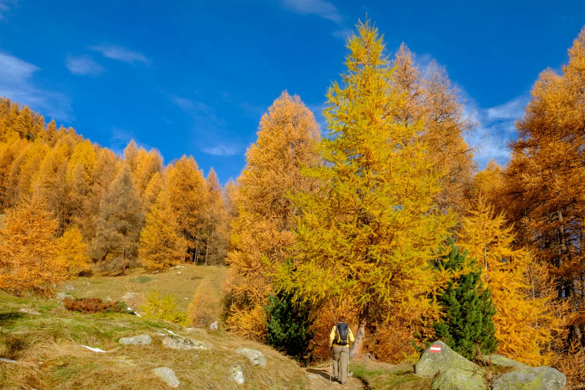 escursioni trekking autunnali a livigno in alta montagna